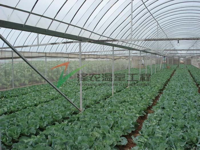 天津滨海新区科技农业
